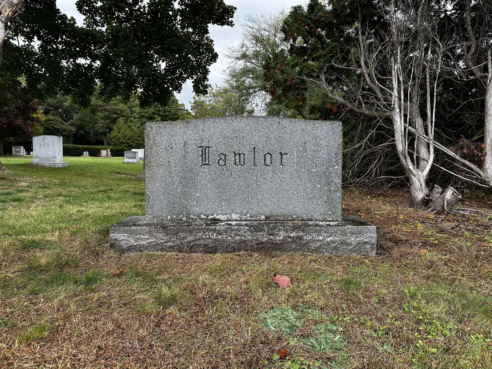 Lawlor monument with biological staining and weathering before cleaning